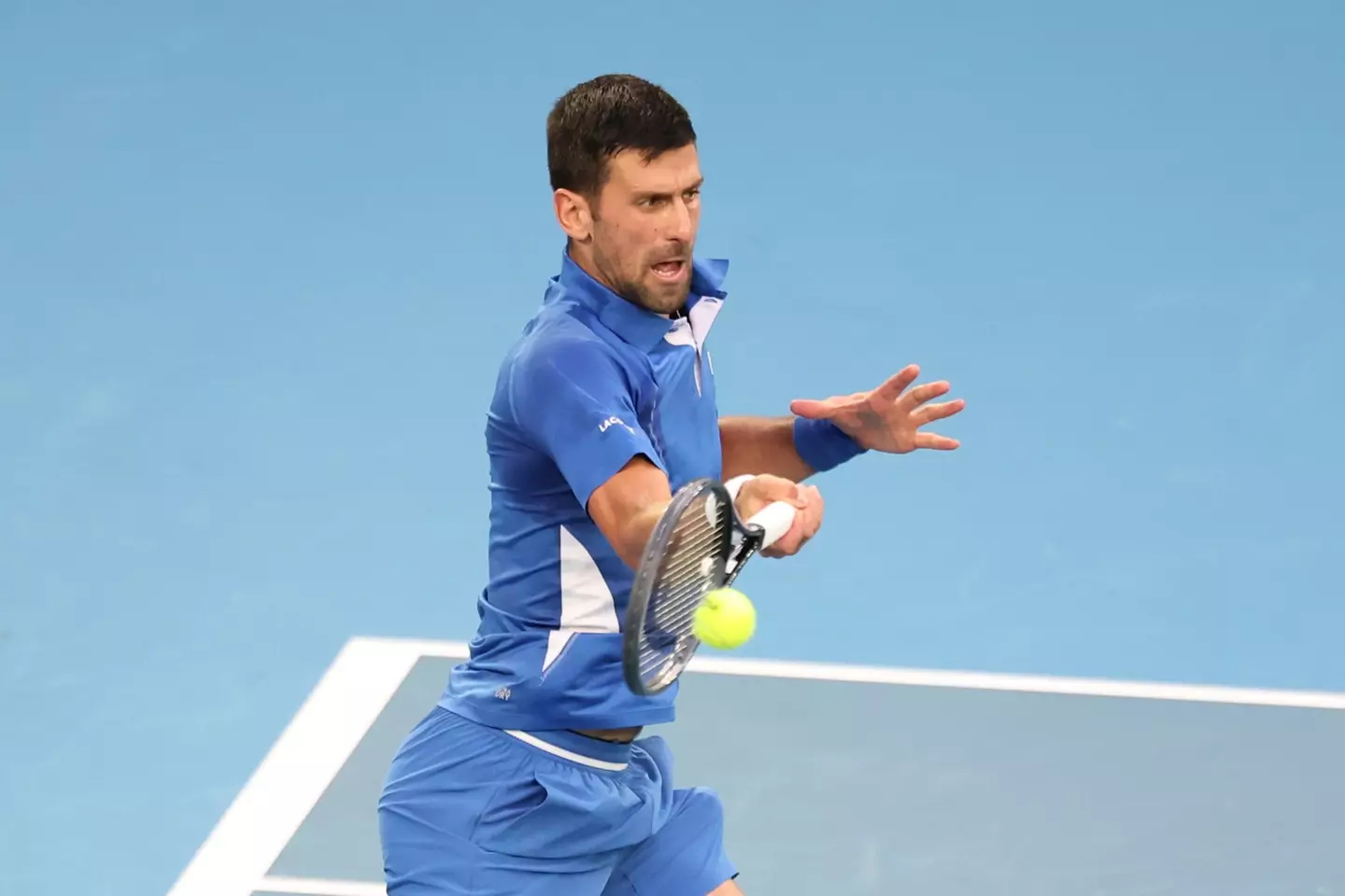 Djokovic has reached the semi-final of the Australian Open (Image