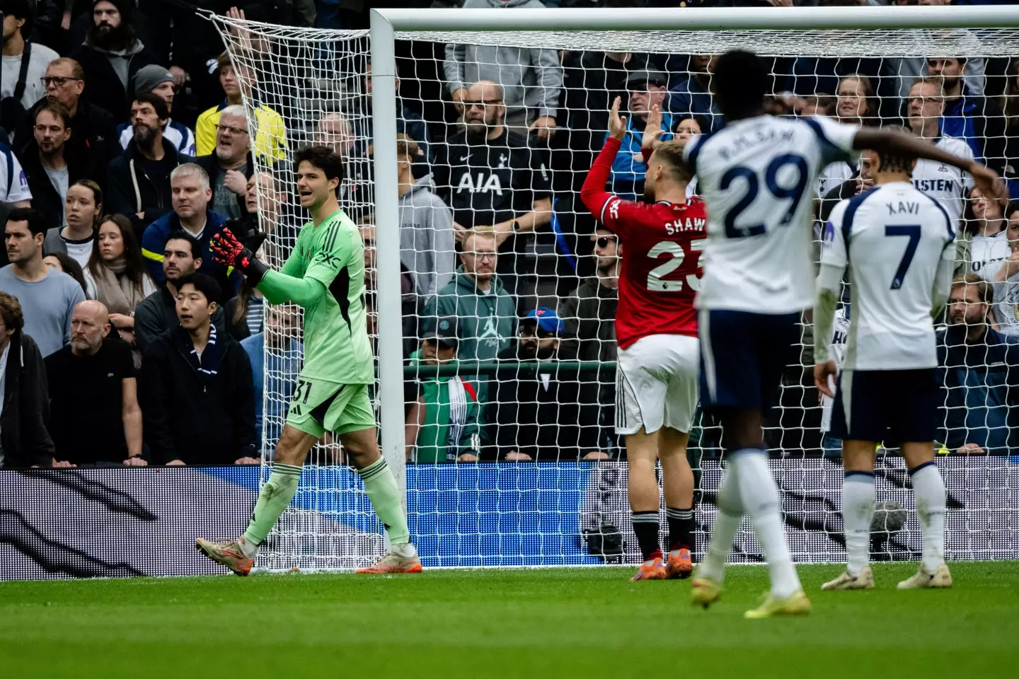 Lammens has been a solid presence between the sticks. Image credit: Getty