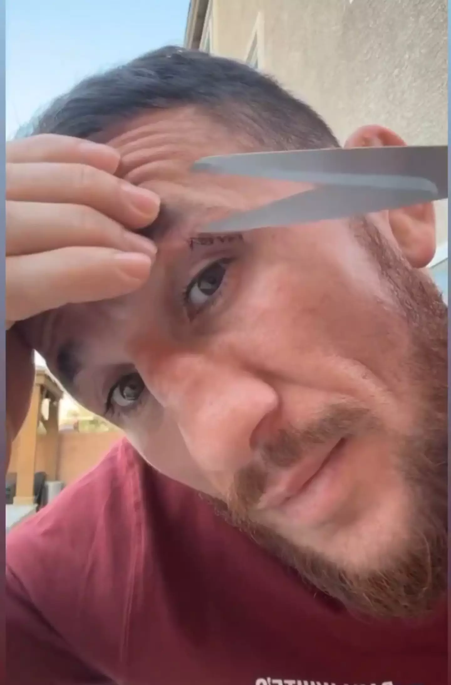 Image: Merab Dvalishvili