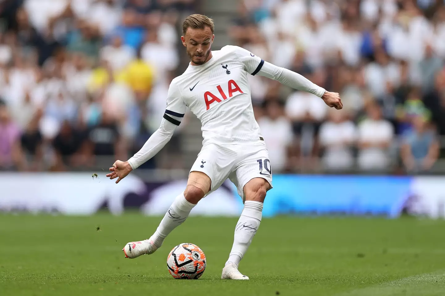 James Maddison in action for Tottenham. Image: Getty
