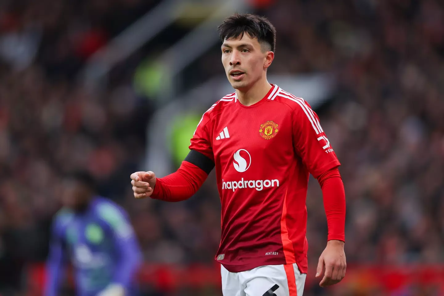 Lisandro Martinez is unlikely to play again this season. Image: Getty