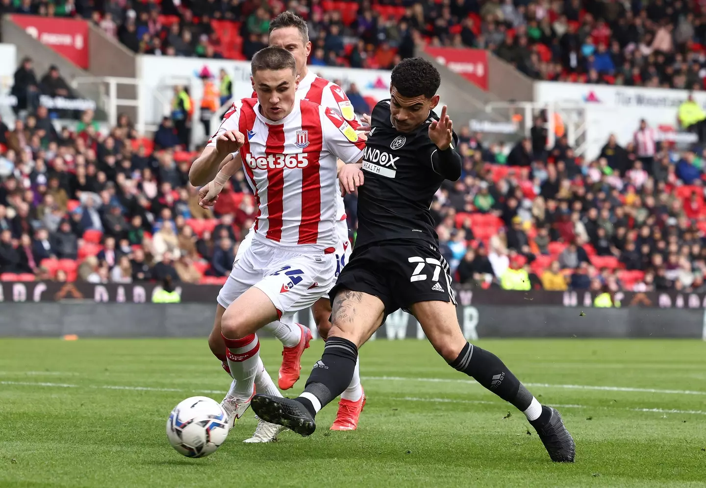 Taylor Harwood-Bellis in action for Stoke City. PA Images / Alamy