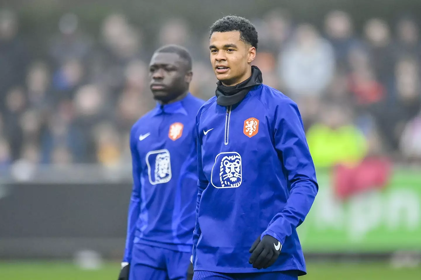 Gakpo has pulled out of the squad. Image: Alamy