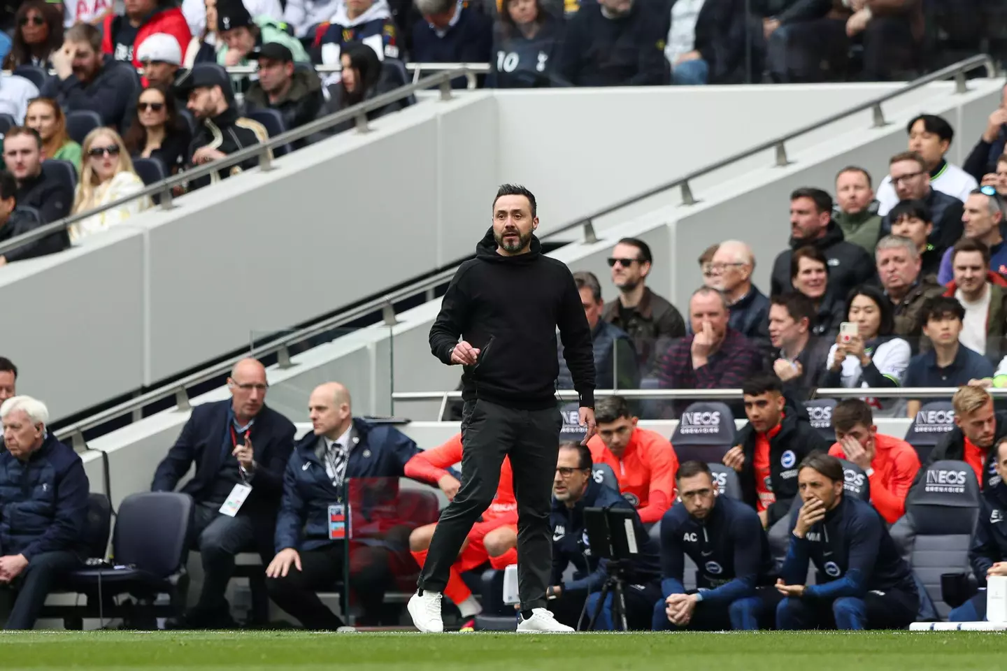 Roberto De Zerbi on the touchline during Tottenham vs. Brighton. Image: Alamy