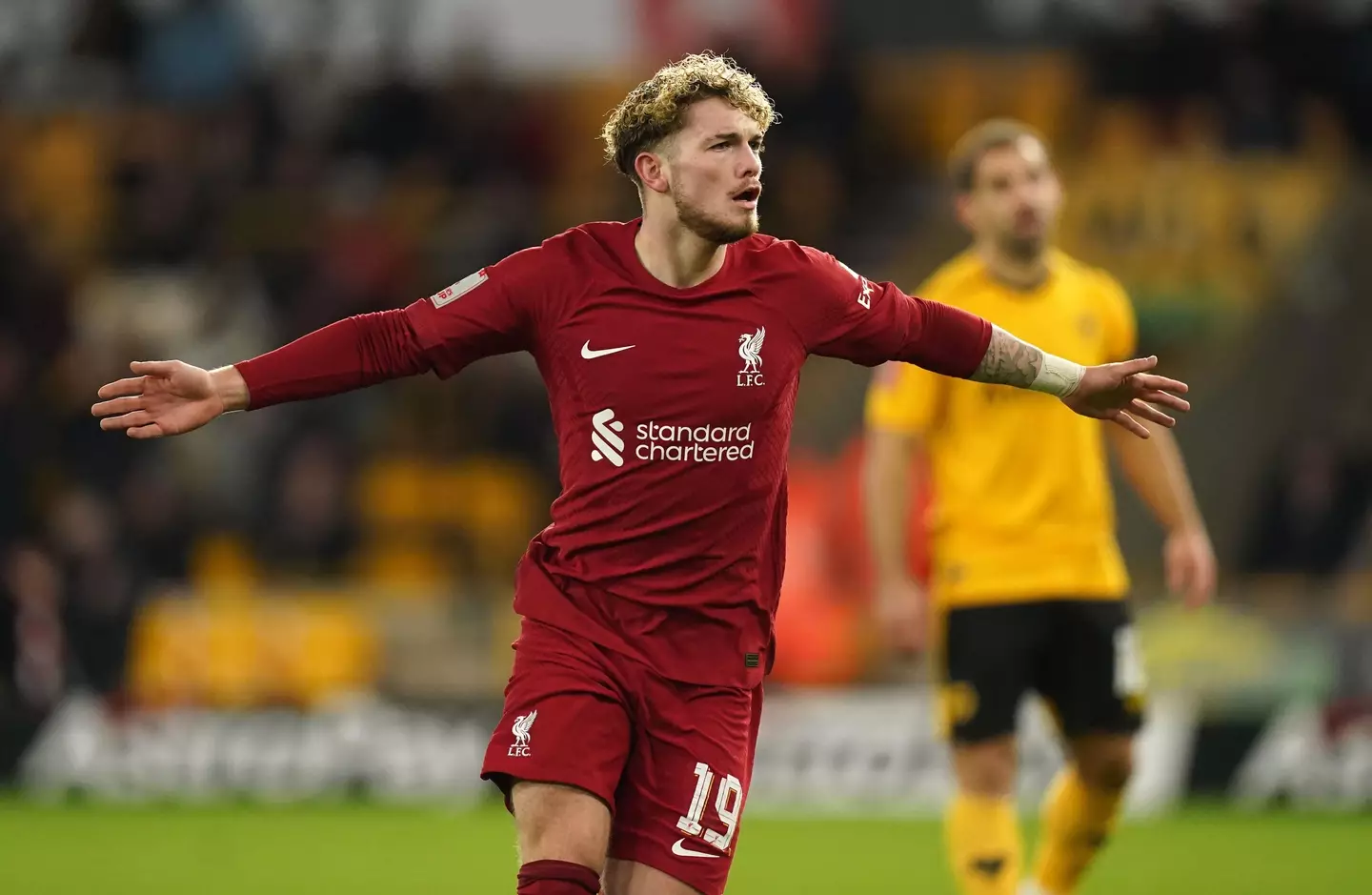 Elliott celebrates his goal. Image: Alamy