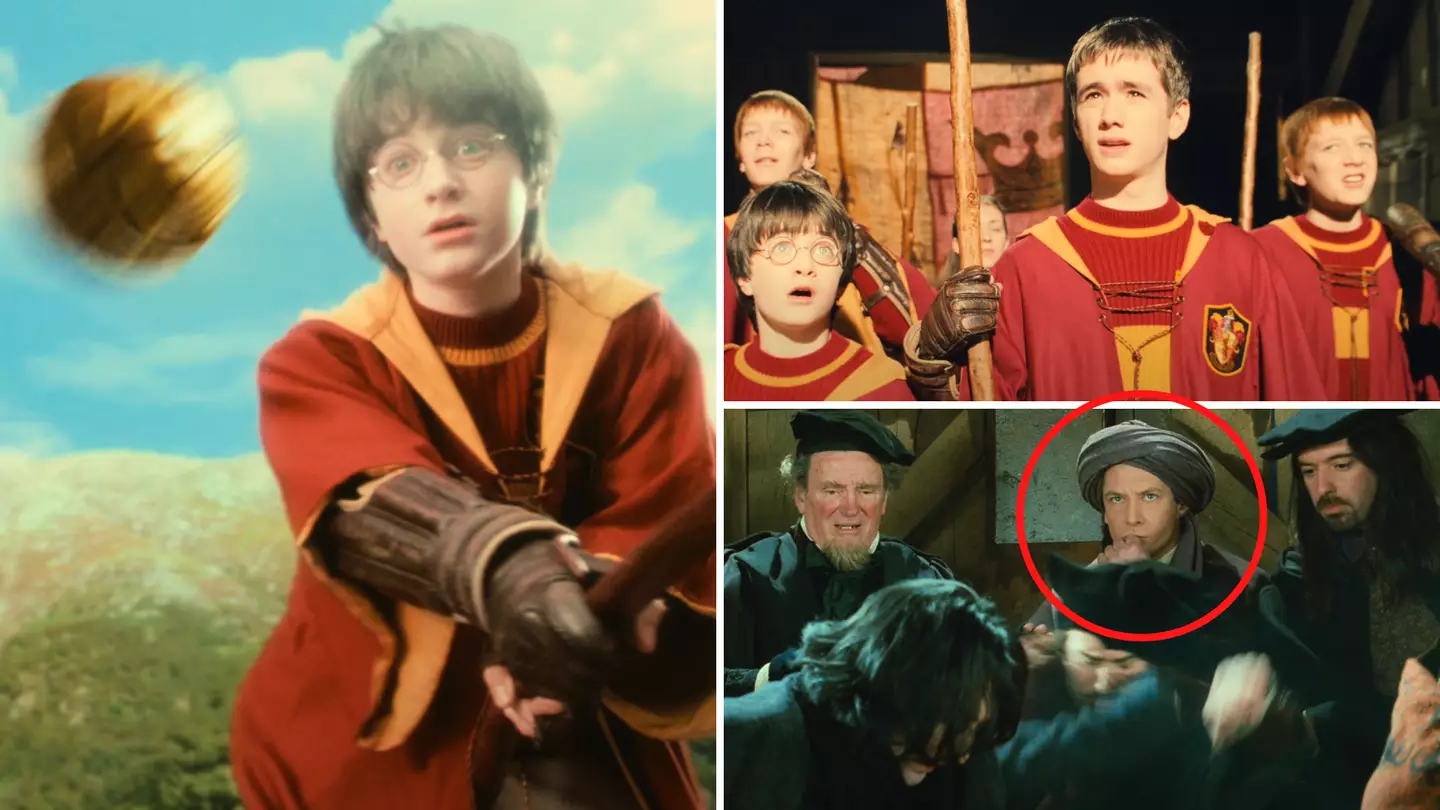 30 Years Ago This Month, Harry Potter Made His Quidditch Debut As A Seeker In Gryffindor's Win Vs Slytherin