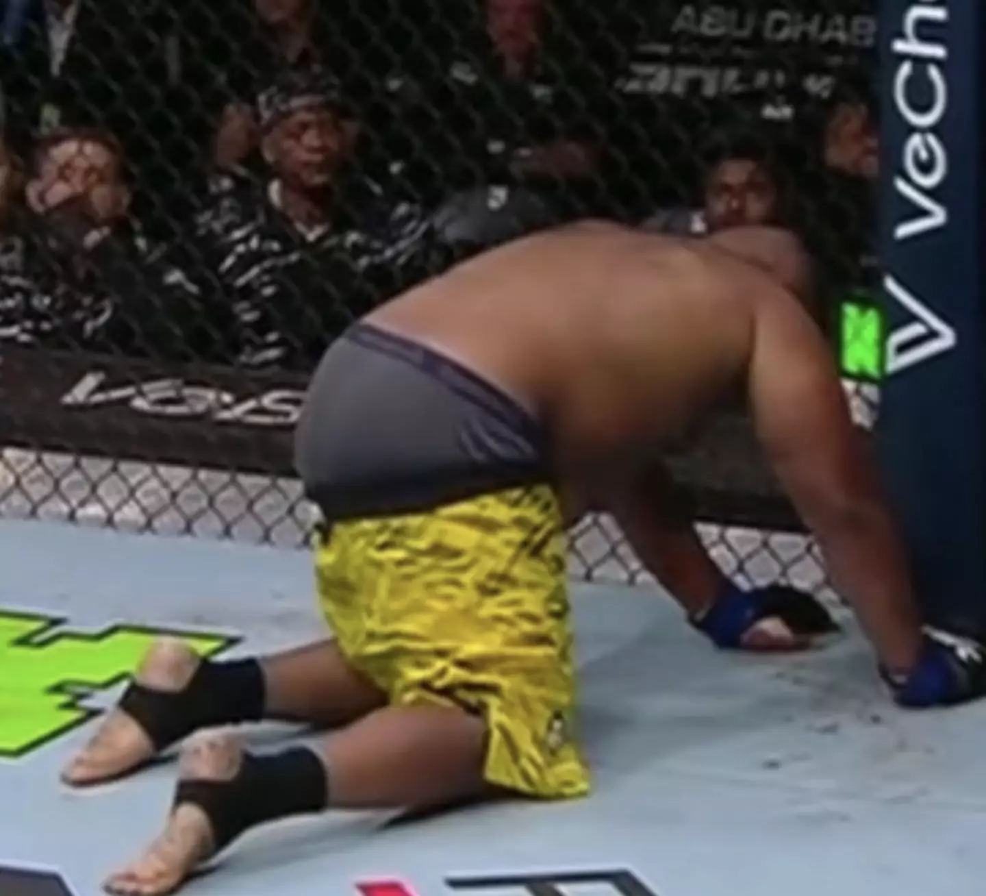 Chris Barnett suffered embarrassment at UFC 321. Image: UFC