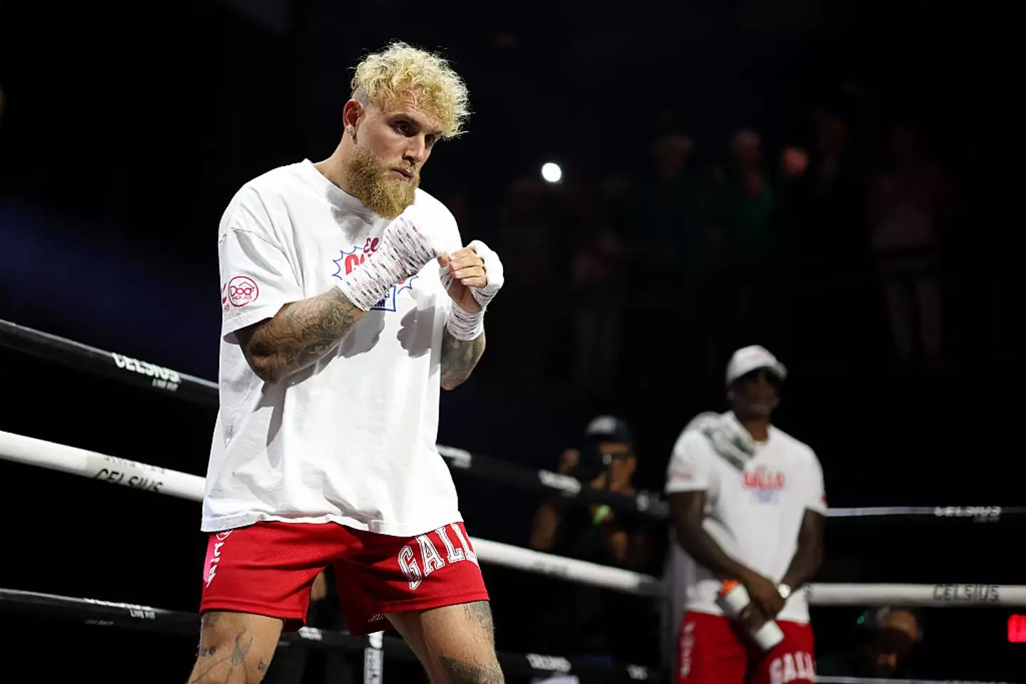 Jake Paul will fight Anthony Joshua in his next boxing bout. (Image: Cris Esqueda/Golden Boy/Getty Images)