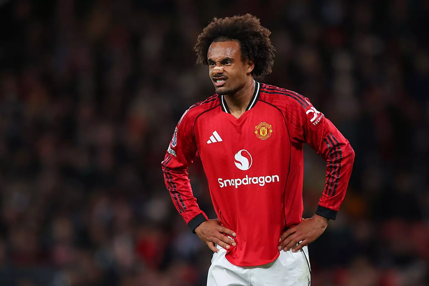 Joshua Zirkzee reportedly wants to leave Man Utd (Credit:Getty)