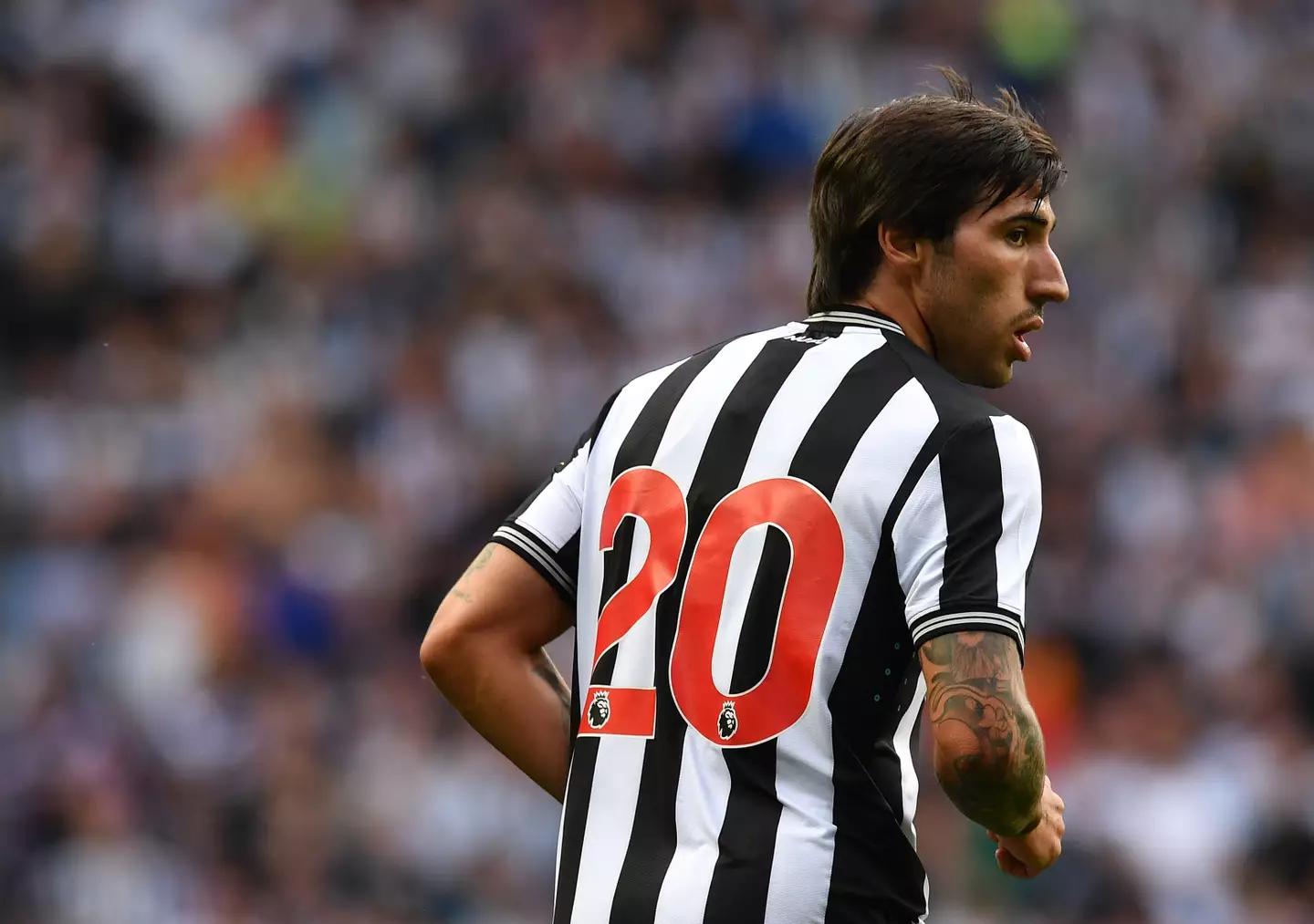 Sandro Tonali could play a key role for Newcastle in 2023/24. (Image: Getty)
