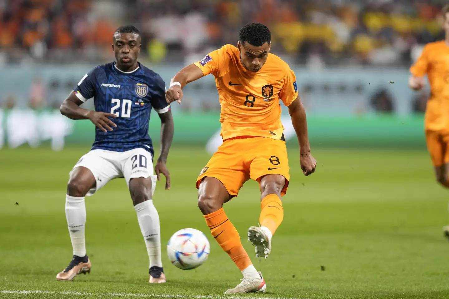 Gakpo in action for the Netherlands during this year's World Cup. (Image