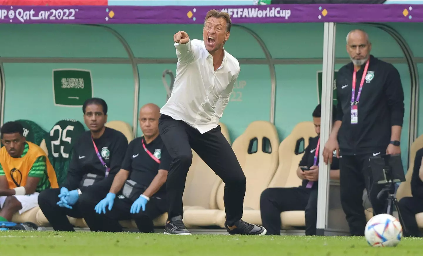 Herve Renard on the touchline against Argentina. Image credit: Alamy