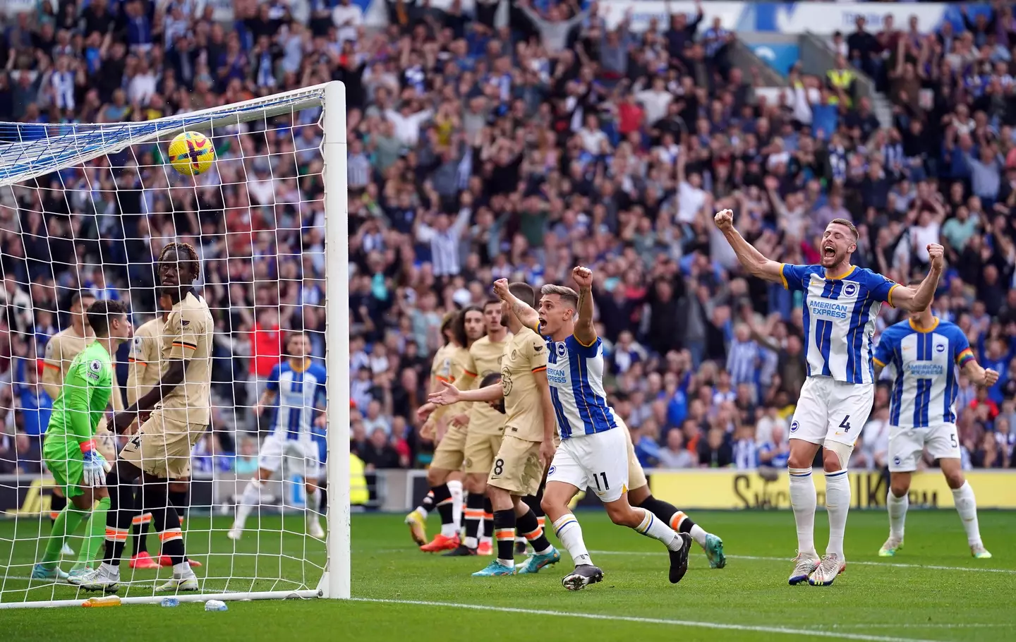 Brighton players celebrating Ruben Loftus-Cheek's own goal. (Alamy)