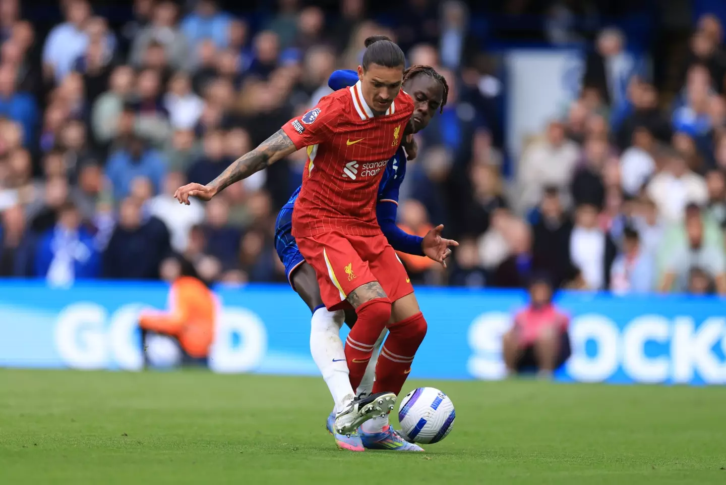 Darwin Nunez was linked with a move to Chelsea (Image: Getty)