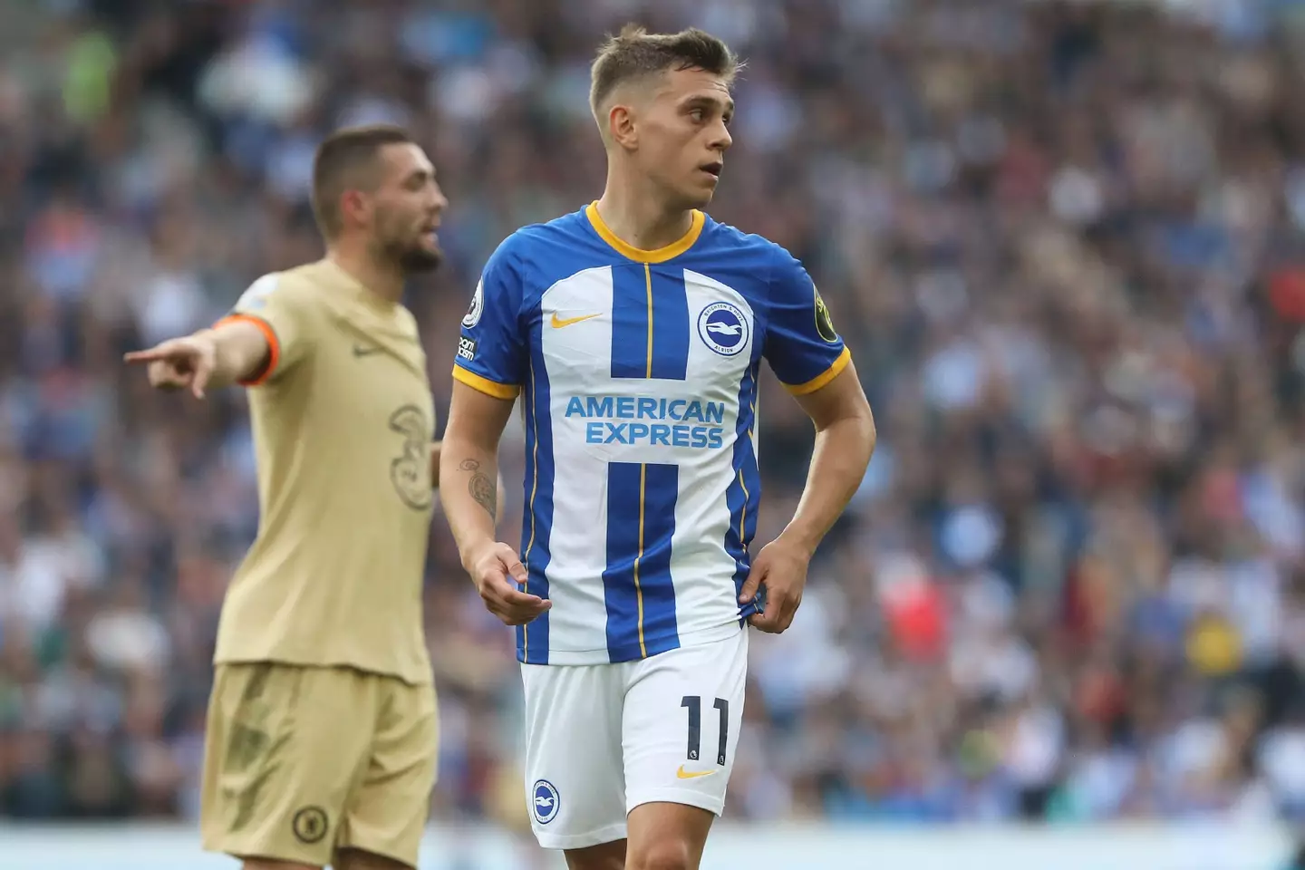 Trossard is Brighton's top scorer this season (Image: Alamy)