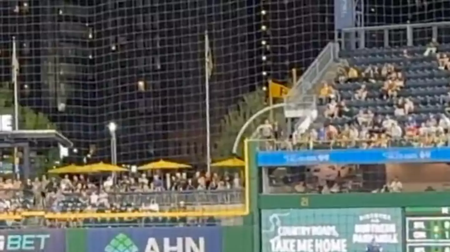 Fan falls at PNC Park (Image: @_MLFootball/X)