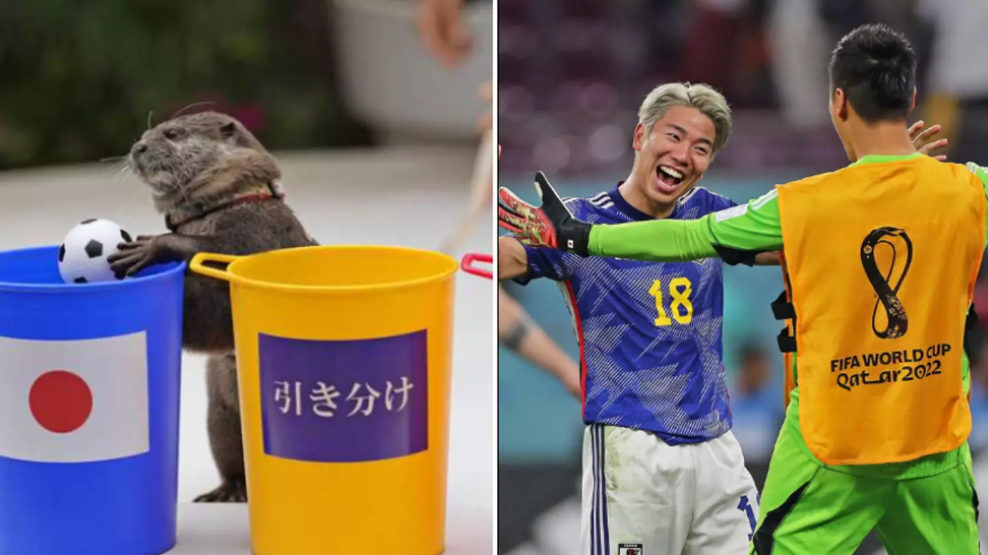 Otter accurately predicted Japan would beat Germany at World Cup