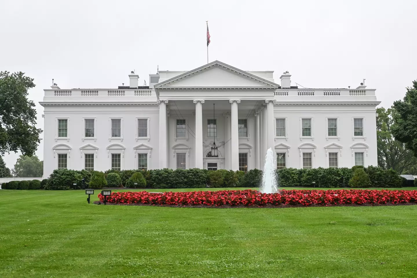 A UFC event at the White House is being planned. Image: Getty