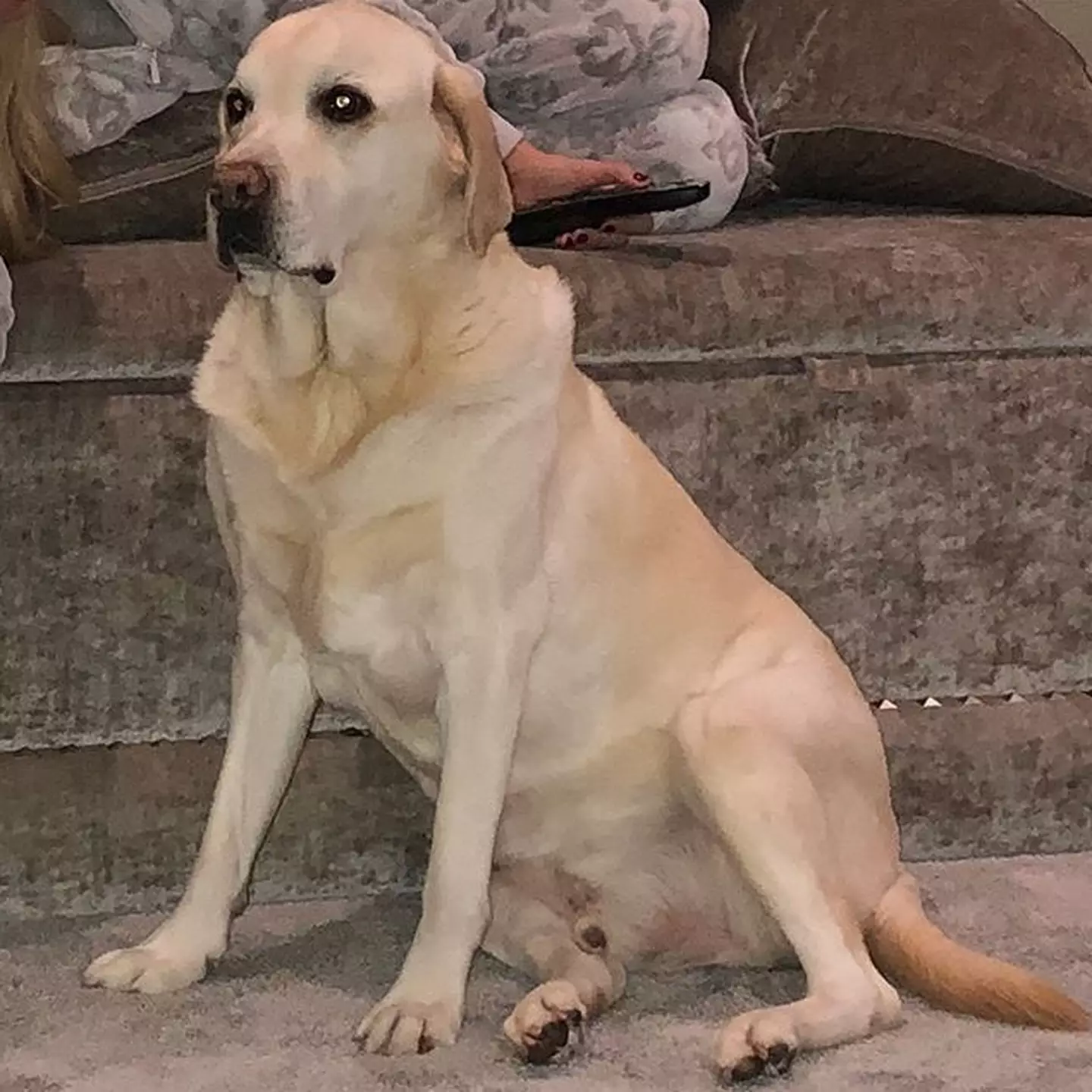 Image credit: Twitter