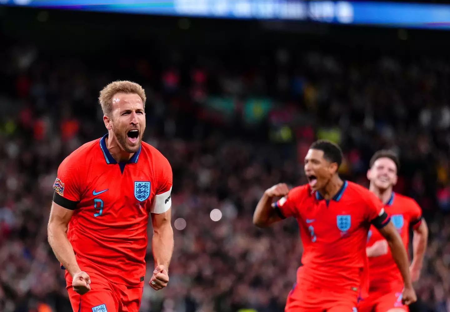 Kane passionately celebrates his goal. Image: Alamy