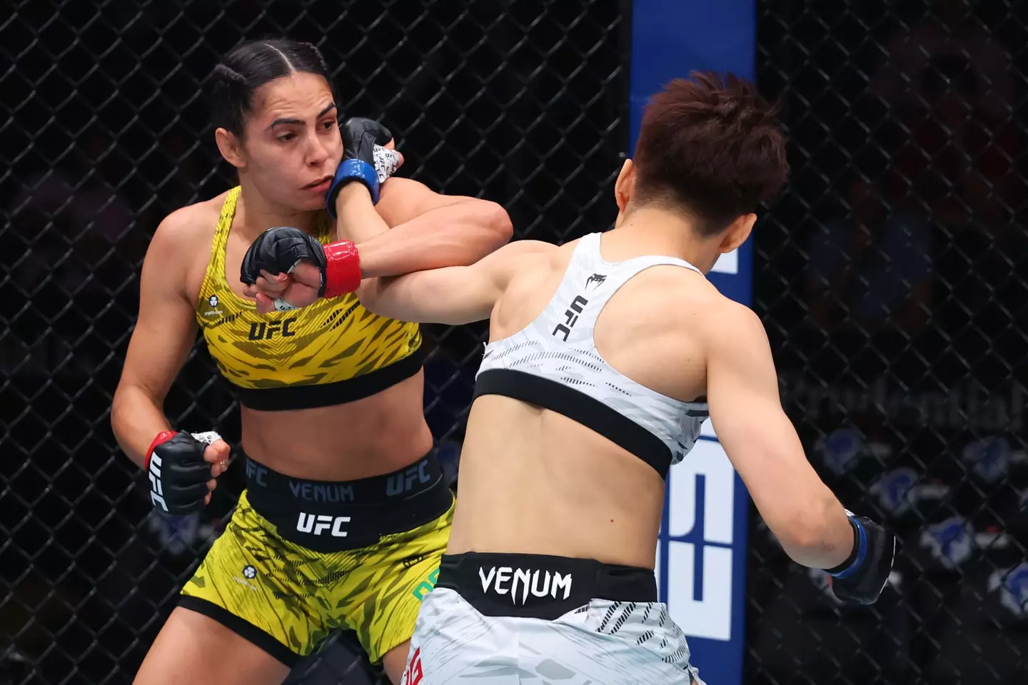 Ariane da Silva has been released after losing her UFC 316 bout. Image: Getty