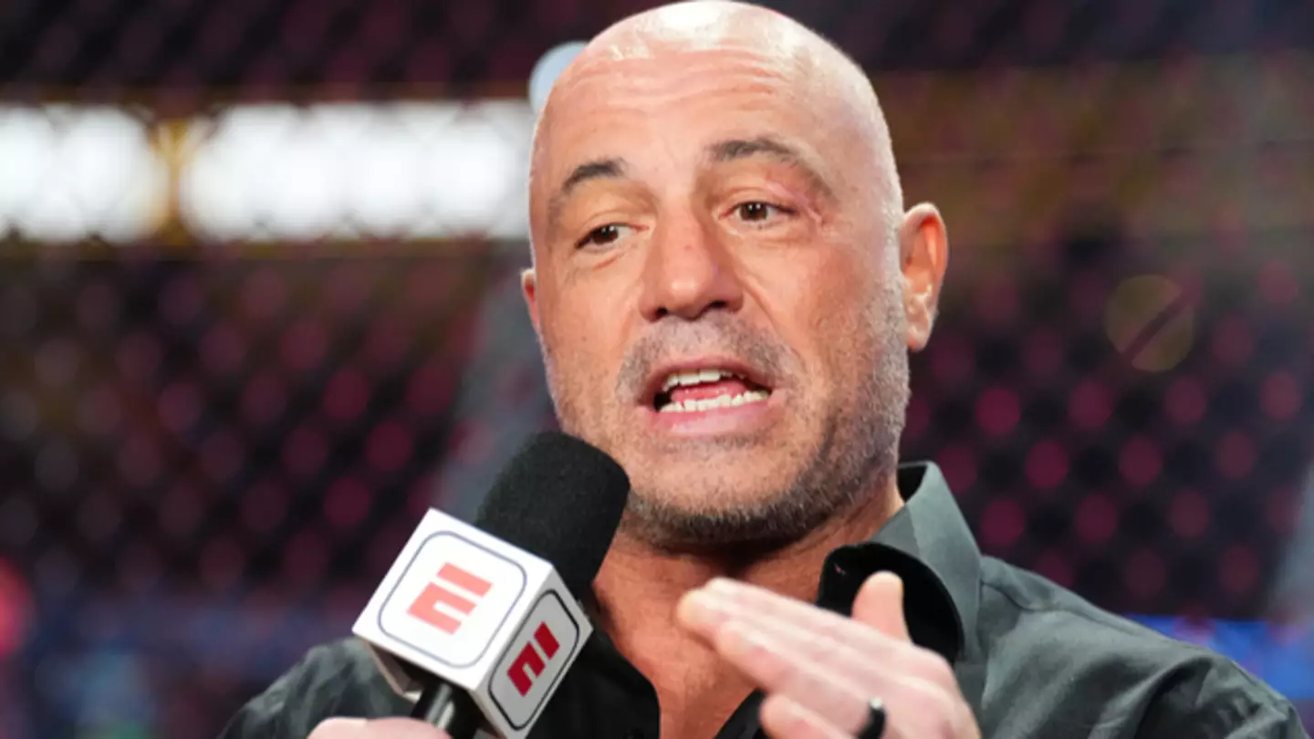 Comic who worked with Joe Rogan on TV show reveals surprise admission he made about the UFC
