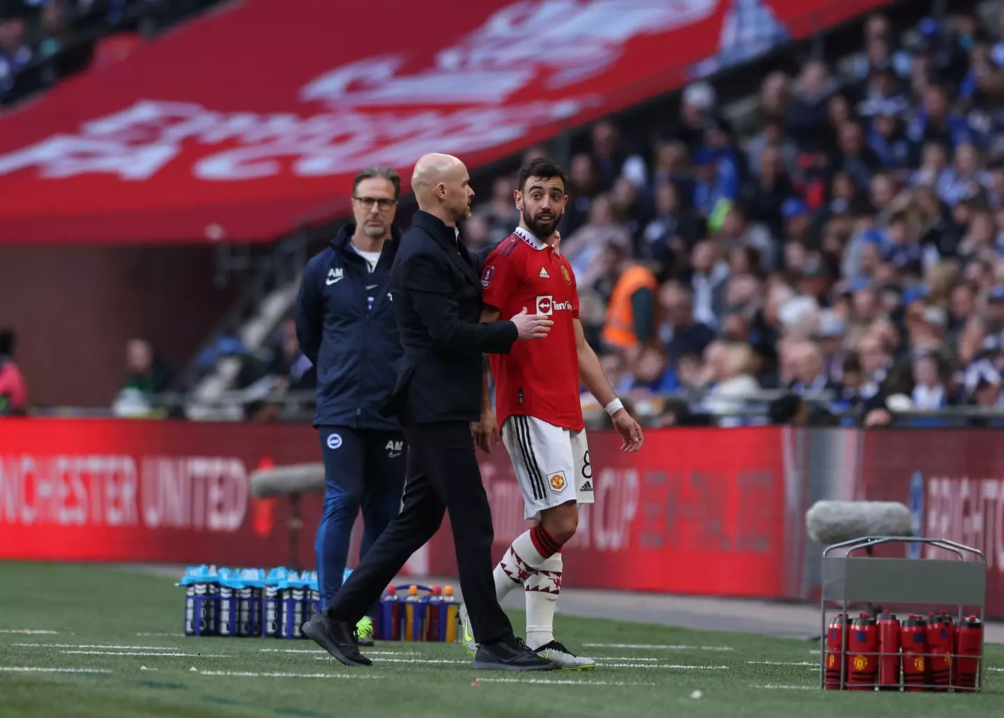 Fernandes was taken off in extra time. Image: Alamy
