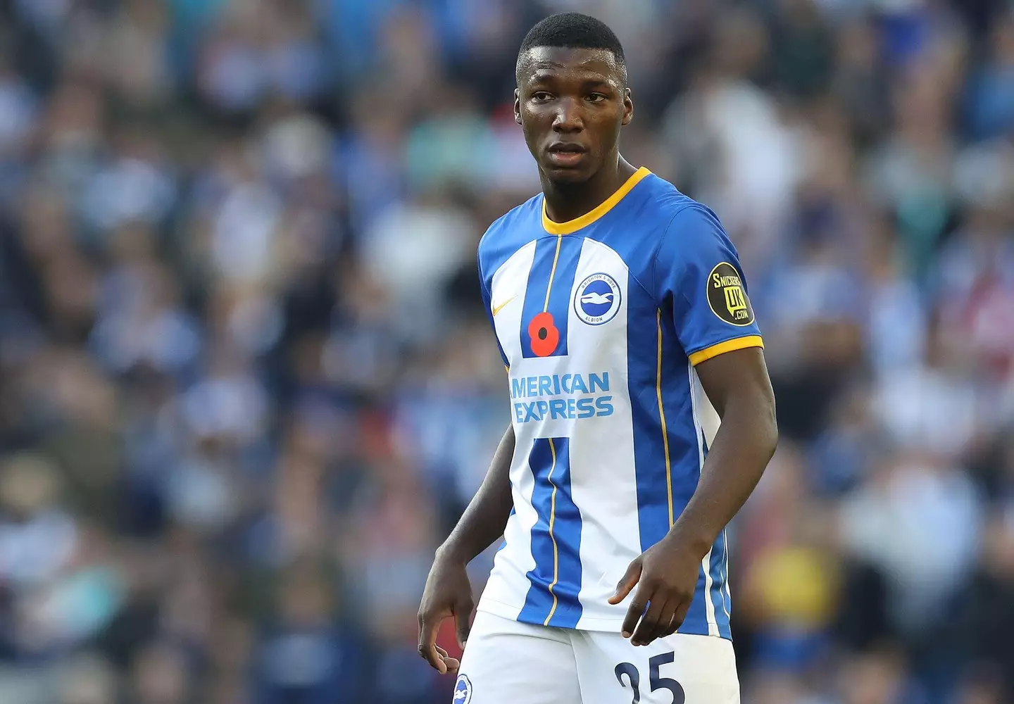 Moises Caicedo has asked to leave the south coast club (Alamy)