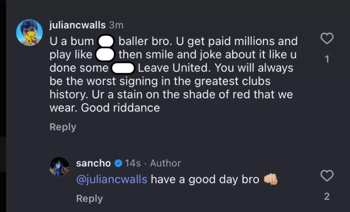 Sancho responded to a fan on social media (Image: Instagram)