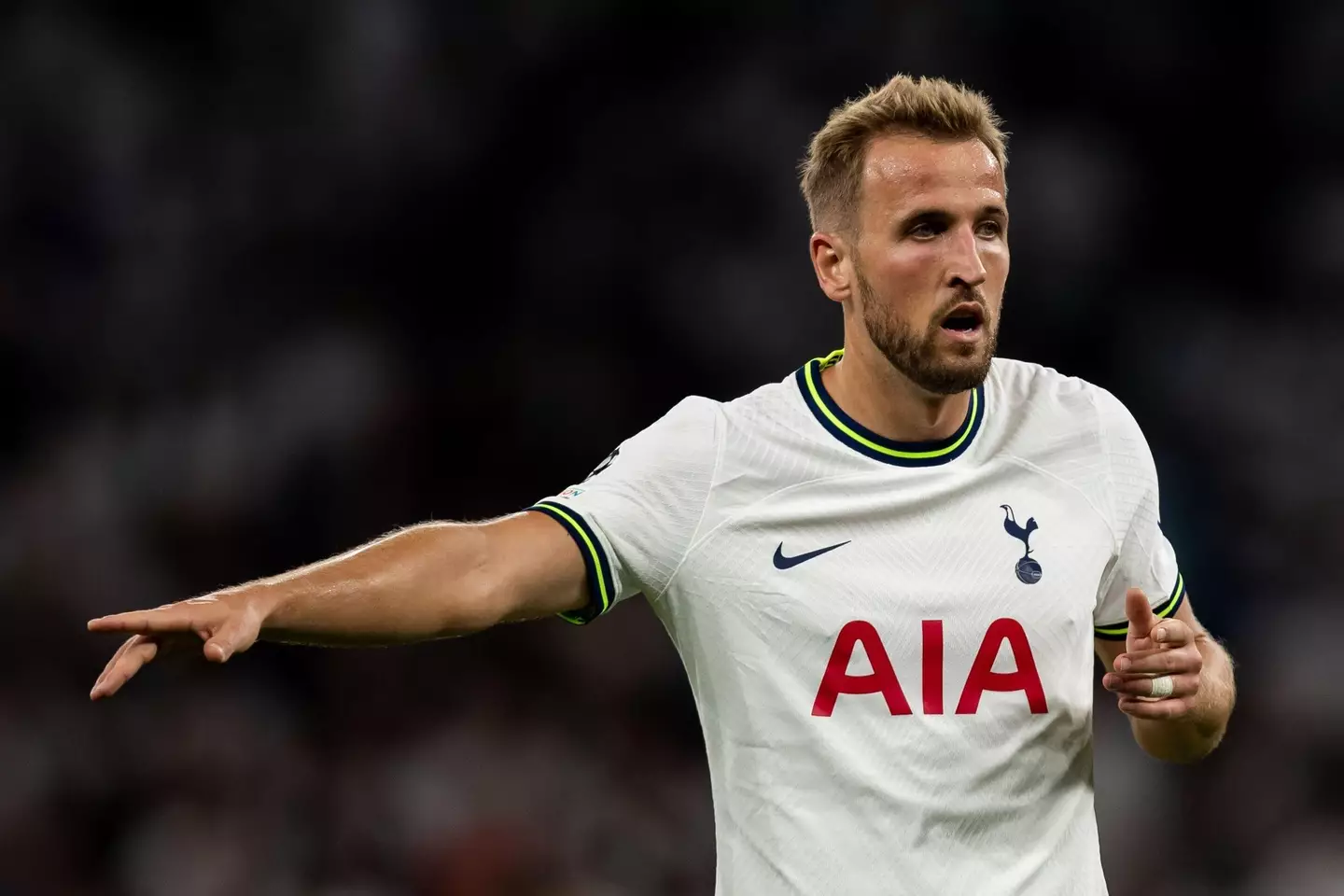 Tottenham striker Kane has also impressed this season (Image: Alamy)