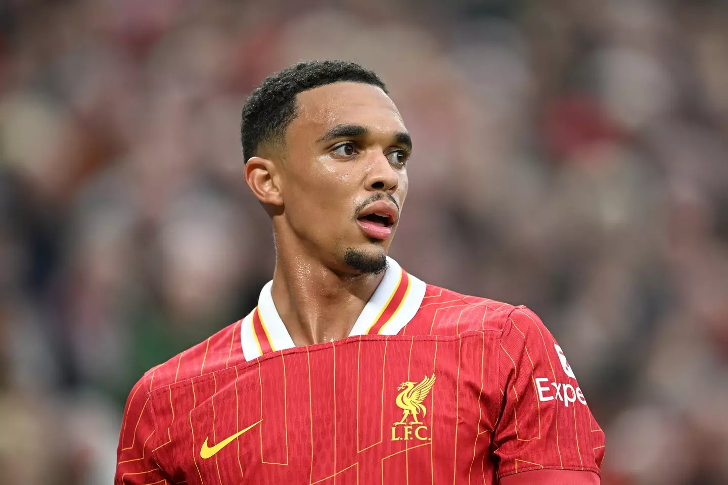 Trent Alexander-Arnold in action for Liverpool. Image: Getty