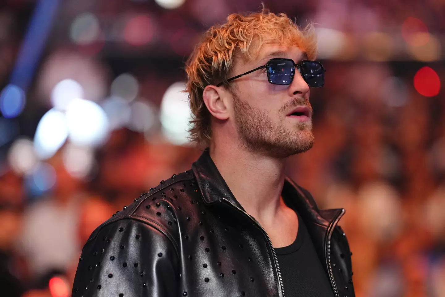 Logan Paul. Image: Chris Unger / Contributor via Getty