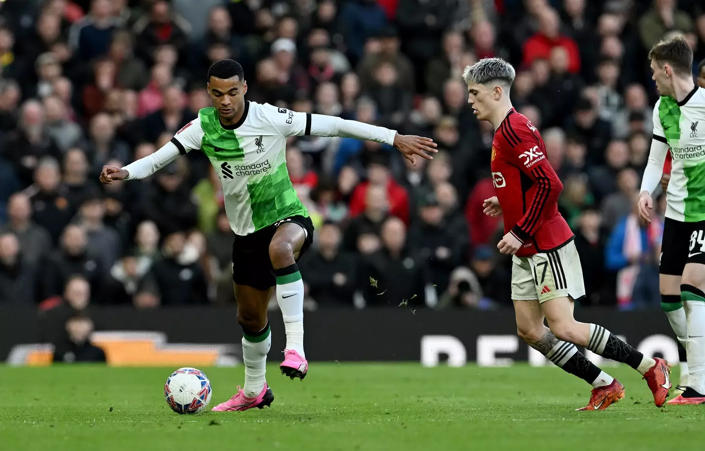 Cody Gakpo in action against Manchester United. Image: Getty