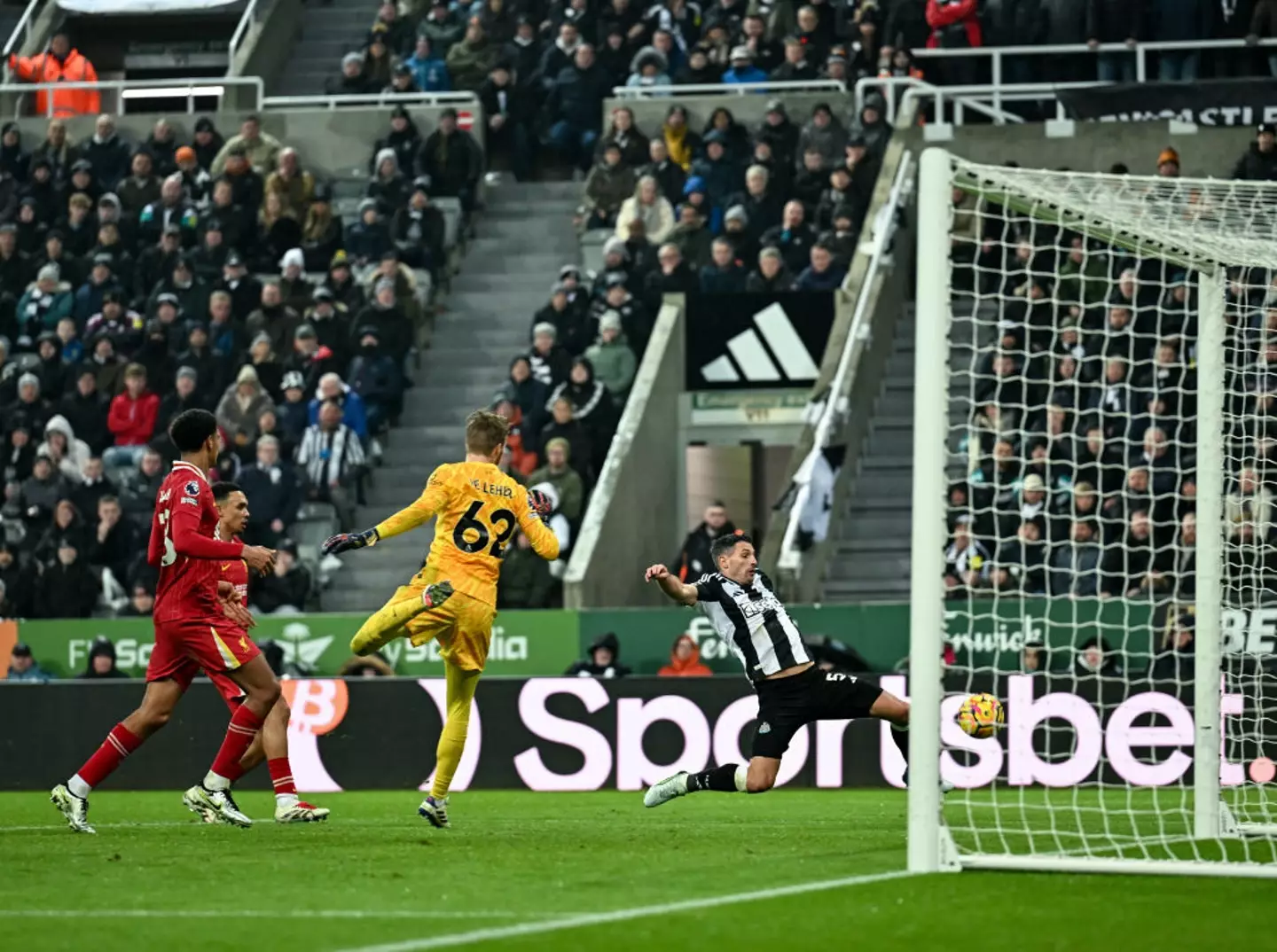 Fabian Schar equalises for Newcastle in their 3-3 draw against Liverpool (Image: Getty)