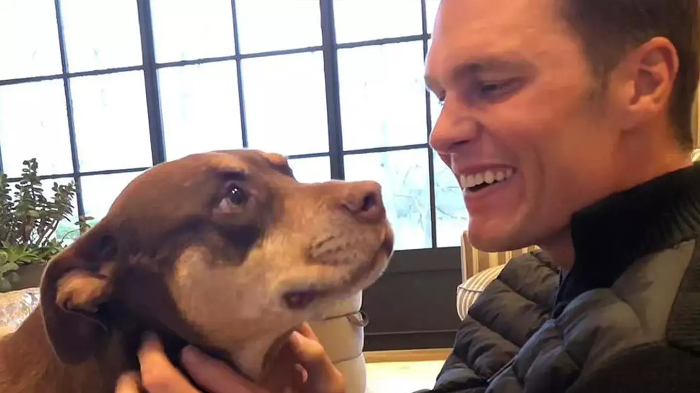 Tom Brady Says His Dog Was Cloned As Staggering Fee Revealed