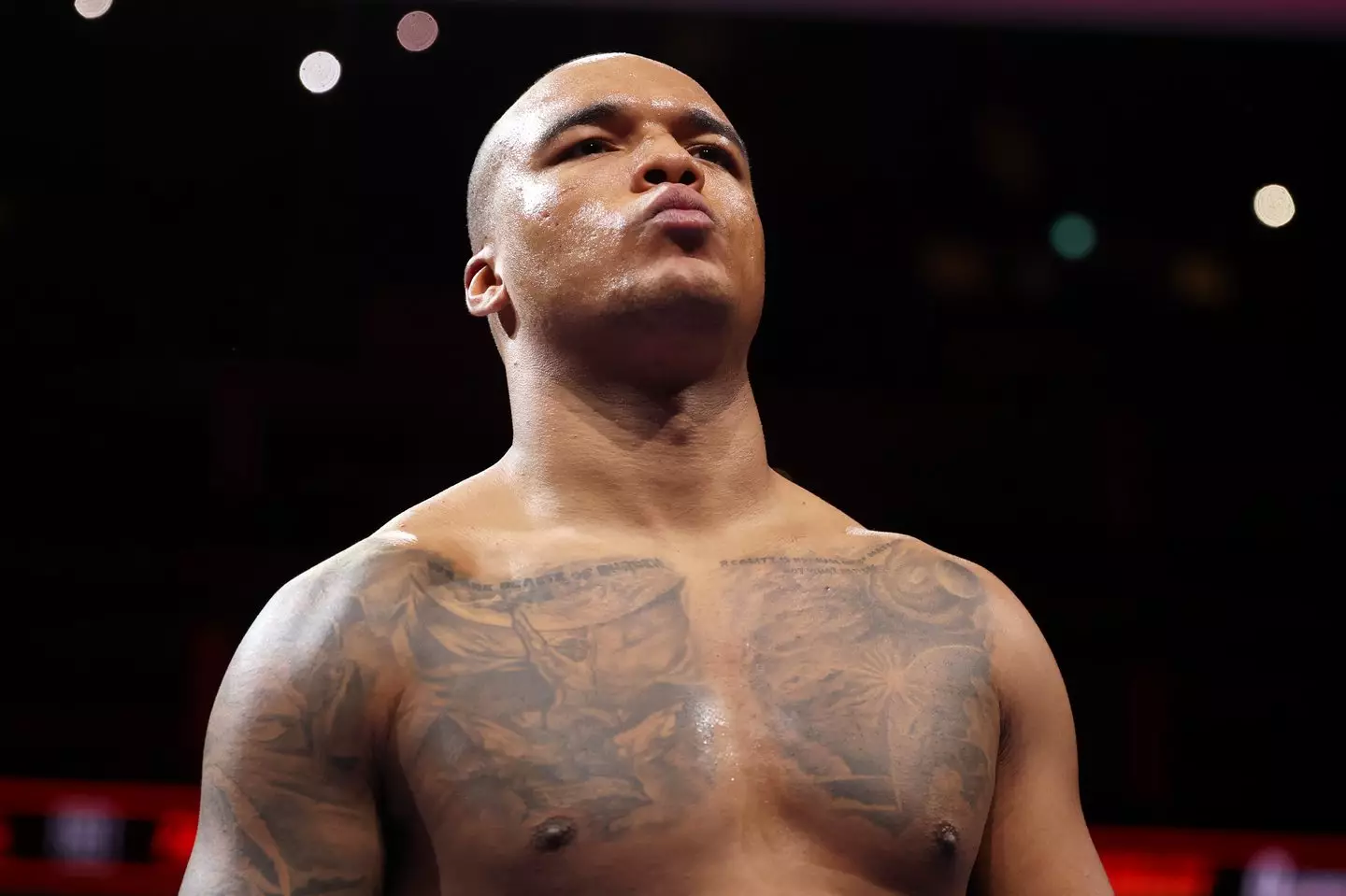 Tyson Fury is eyeing a fight against WBO world heavyweight champion Fabio Wardley. Image: Getty