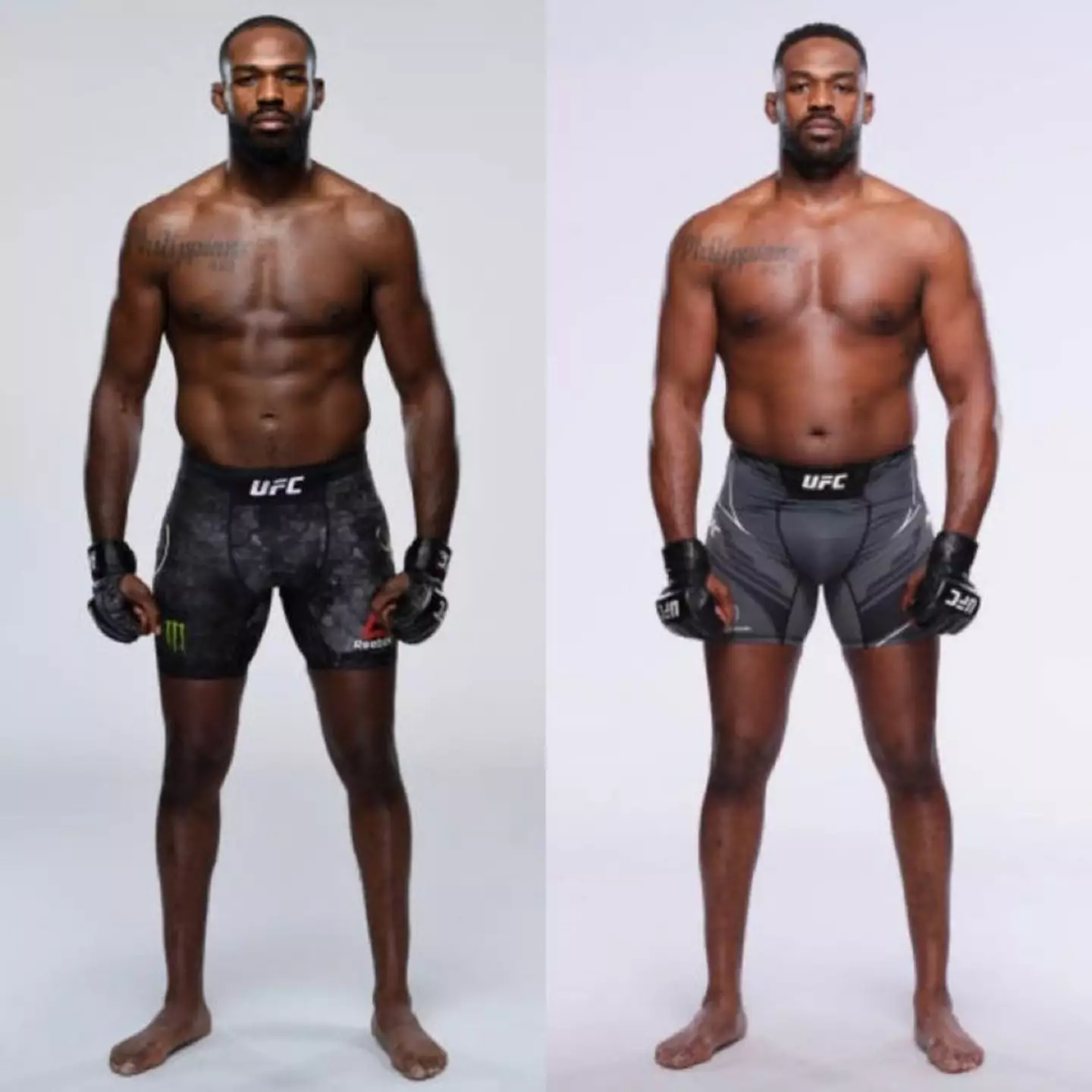 Image: UFC