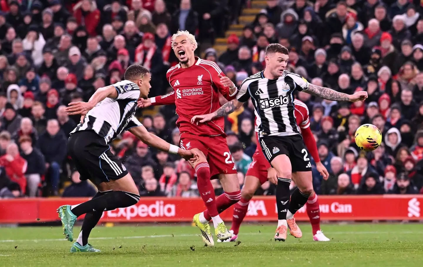 Liverpool vs Newcastle (credit: getty)