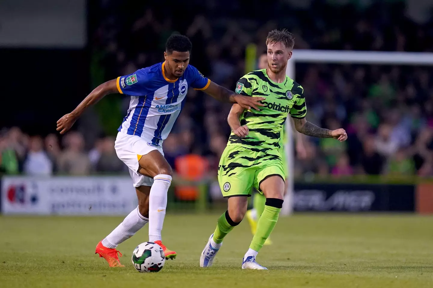 Levi Colwill is on loan at Brighton. (Alamy)