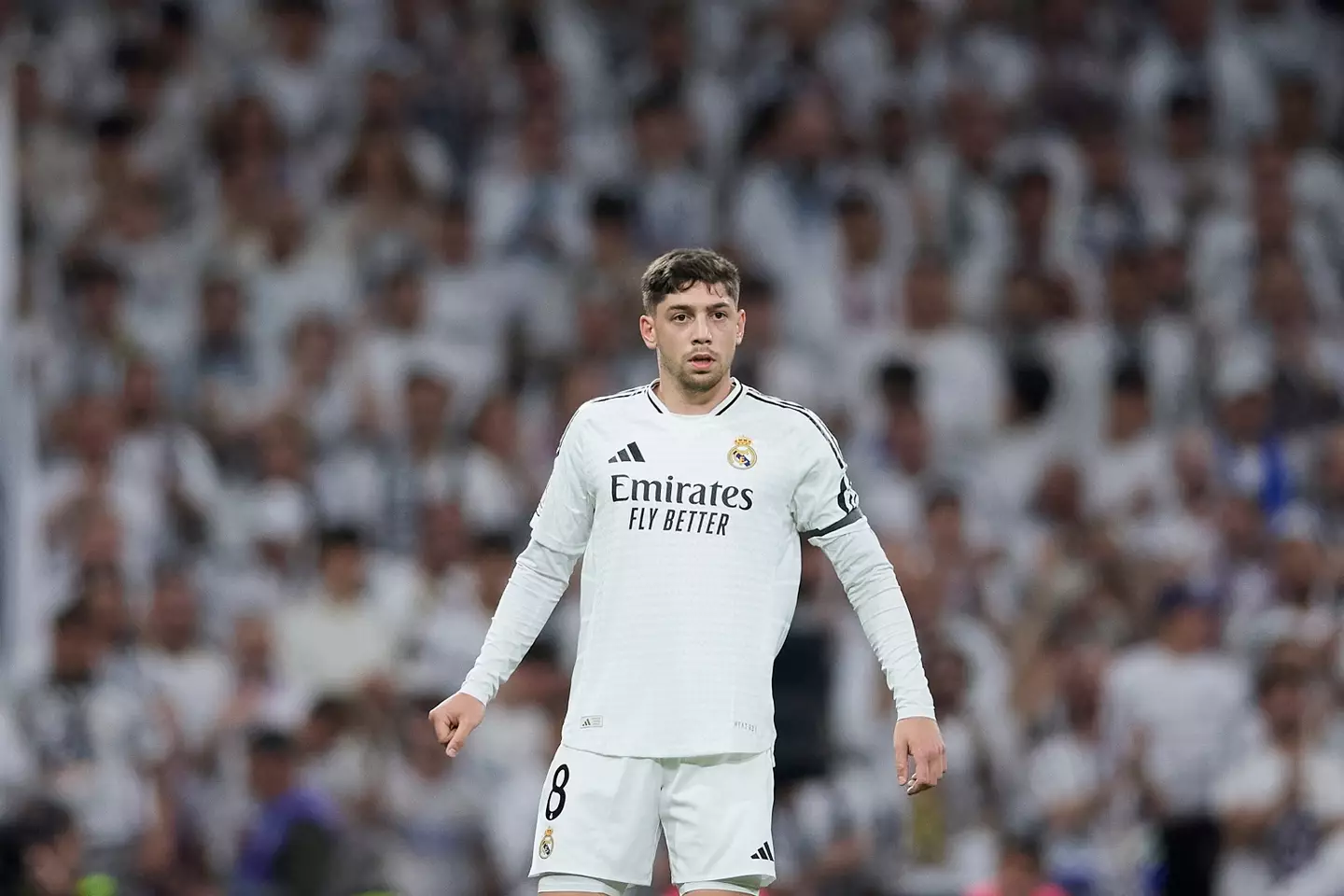 Federico Valverde has been heavily linked to Manchester United. Image: Getty