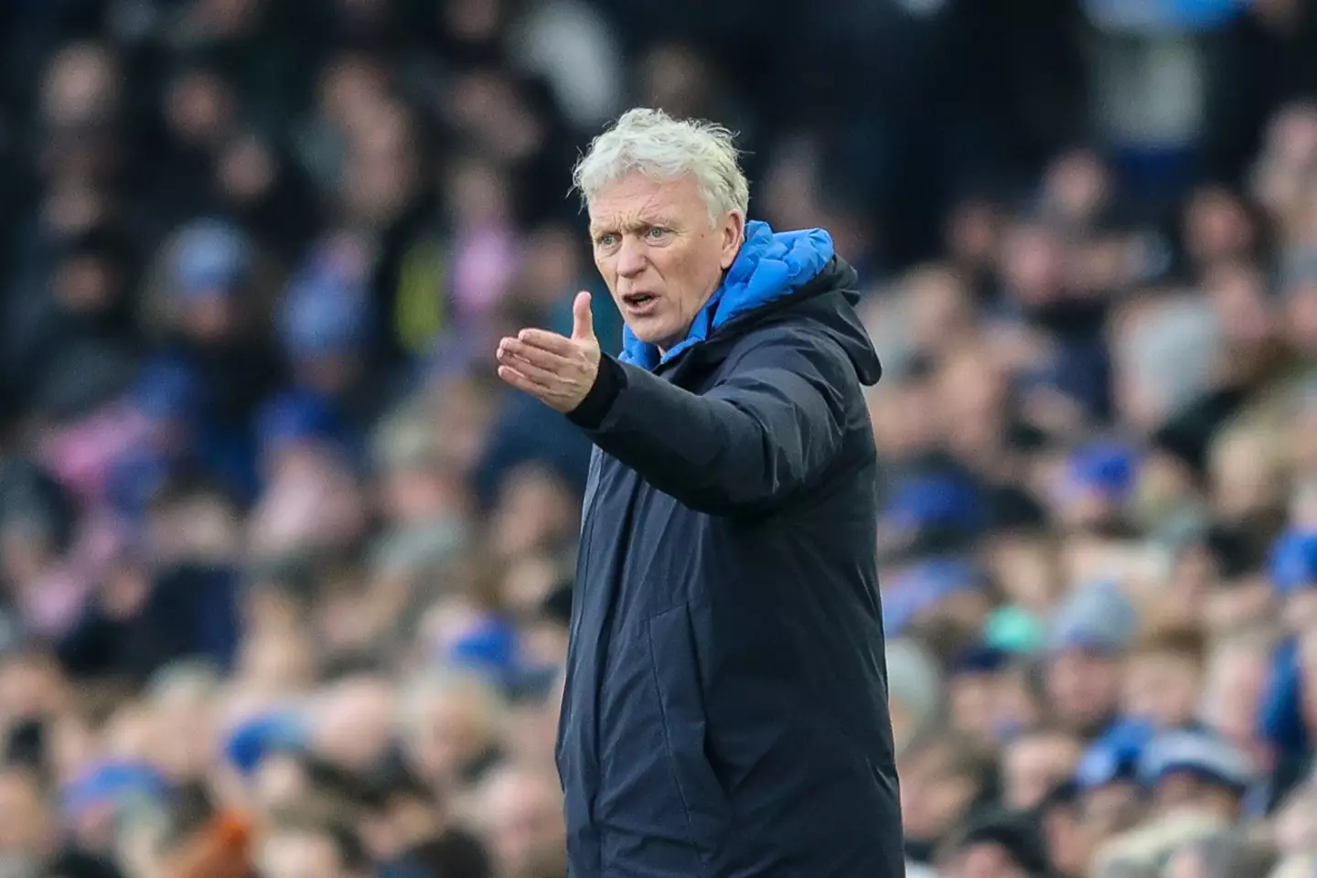 David Moyes will be without SEVEN players for Everton's game against Liverpool. Image: Getty