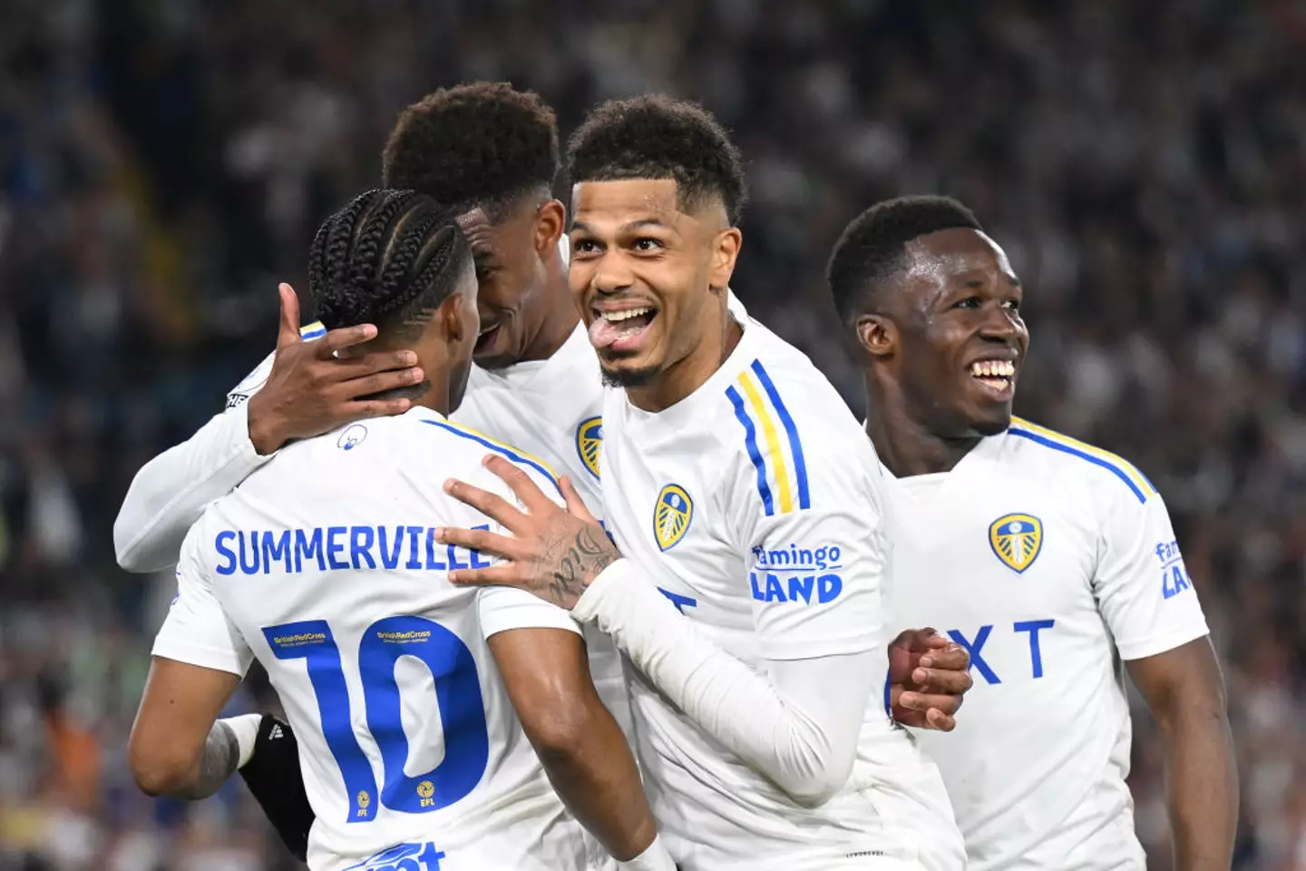 1992 First Division champions Leeds United are one of 18 EFL clubs part-owned by US investors -