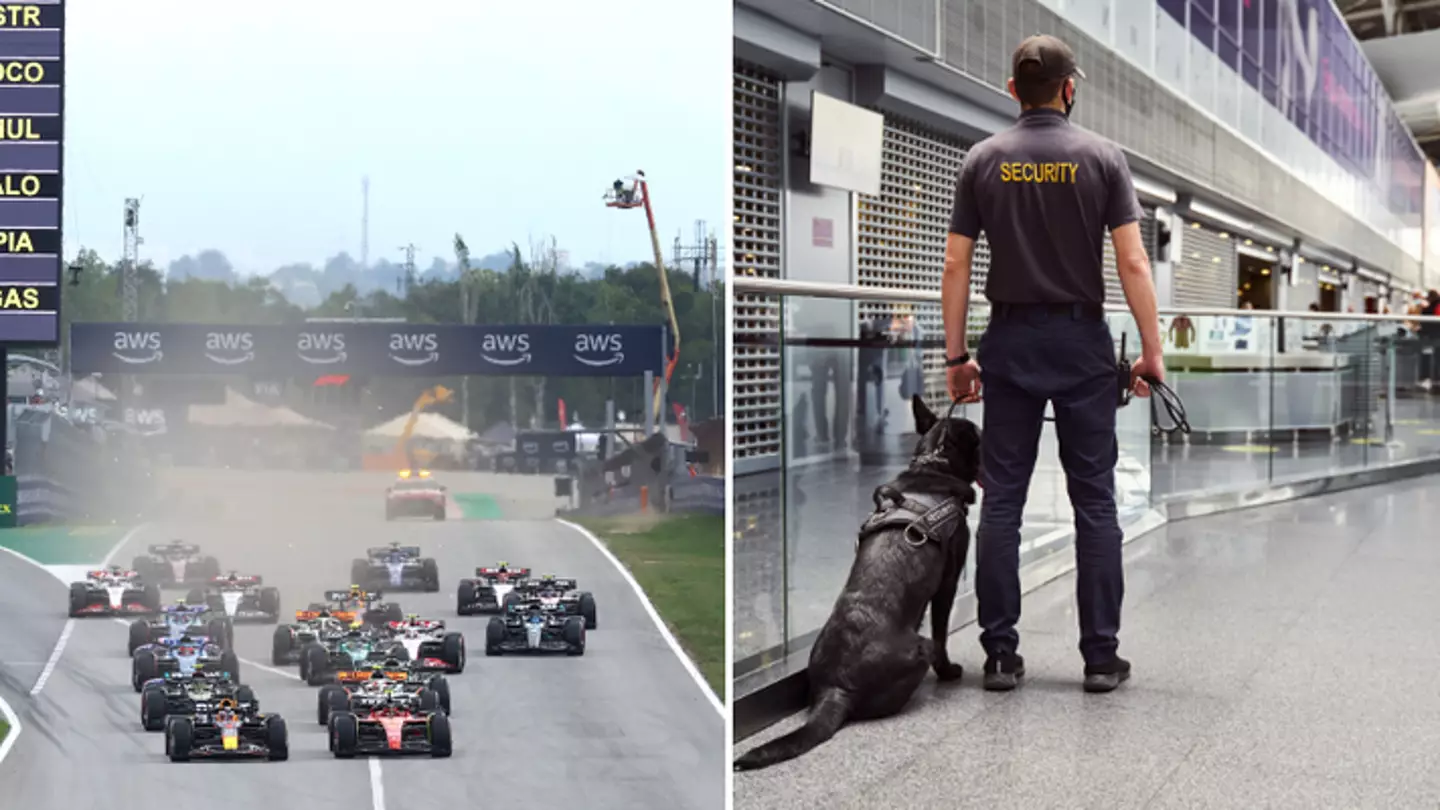 F1 star speaks out on nearly being denied entry into USA for Las Vegas GP after 'interrogation'