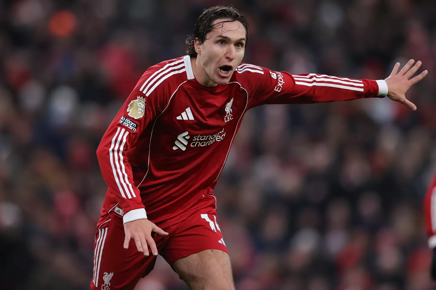 Federico Chiesa in action against Wolves. Image: Getty