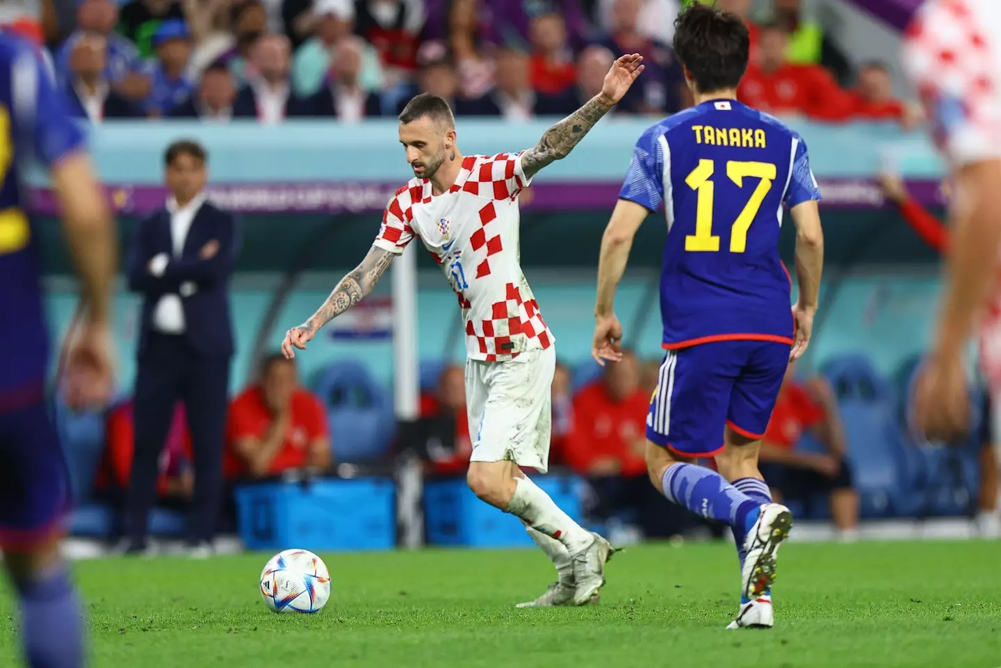 Brozovic sustained an injury at the World Cup (Alamy)