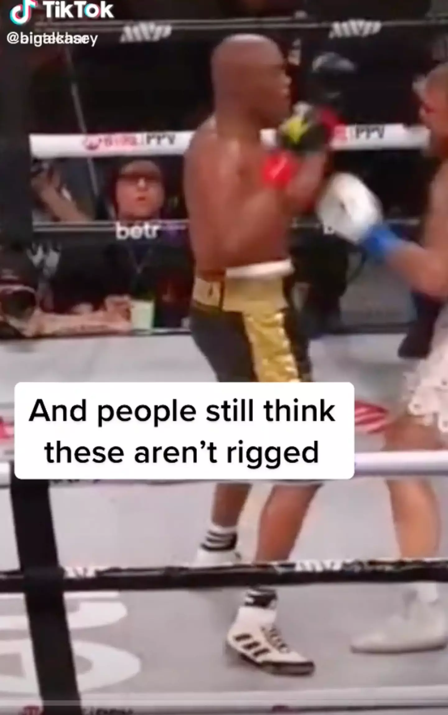 Image credit: TikTok/Al casey