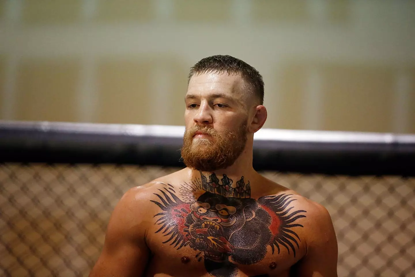 Conor McGregor- Getty