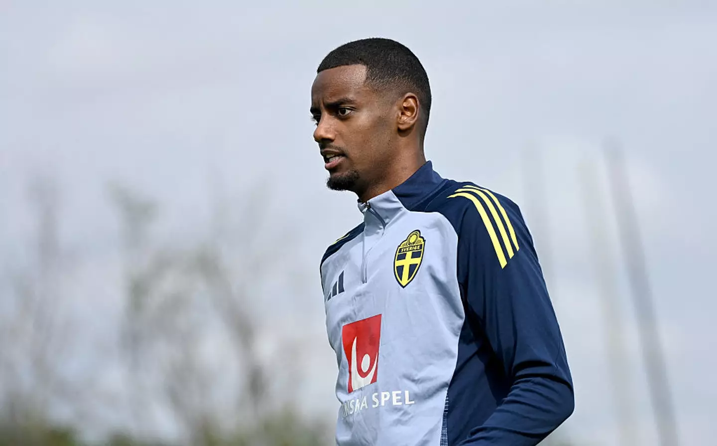 Alexander Isak in Sweden training (Credit:Getty)