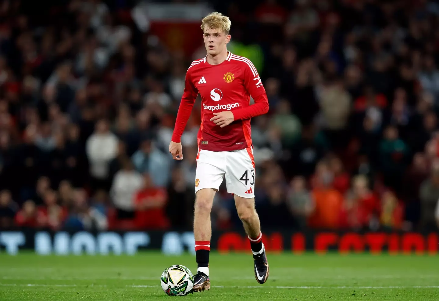 Toby Collyer could get more game-time if United are relegated. Image: Getty