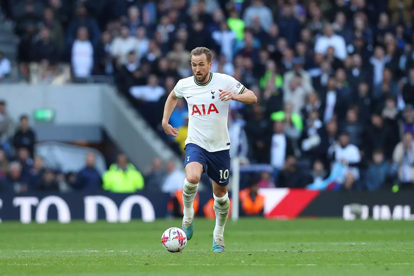 Harry Kane in action for Tottenham. Image: Alamy